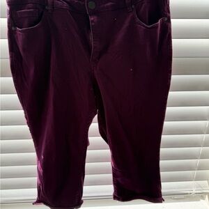 Lane Bryant Plum Cropped Jeans